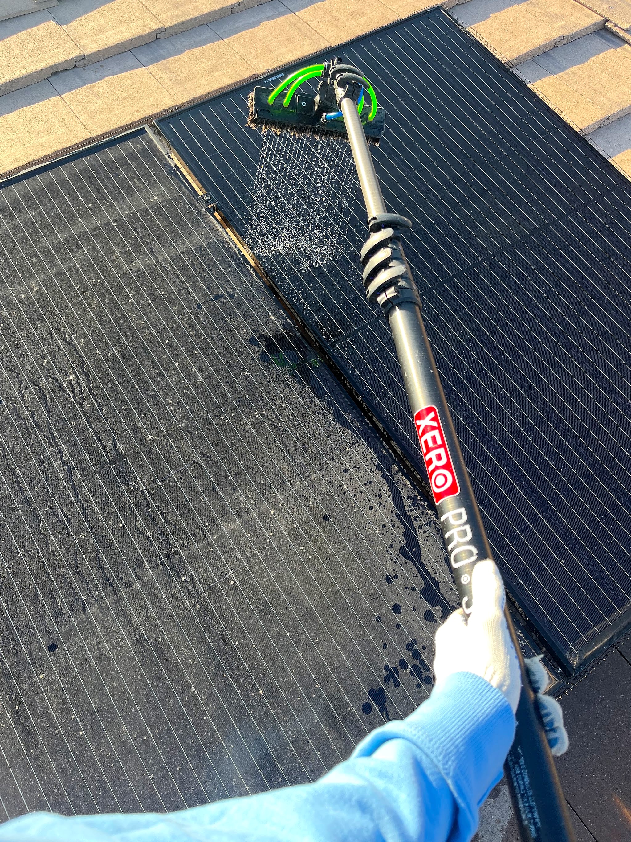 Water-fed pole with a brush cleaning panels
